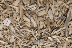 biomass boilers Griffydam